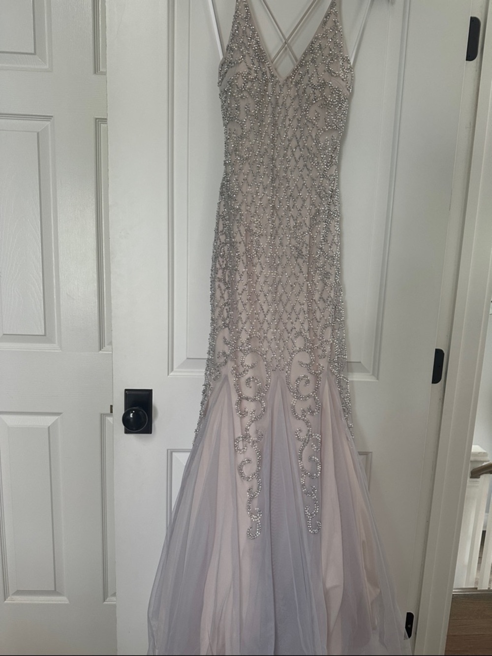 Never Worn Xscape Blush Pink Beaded Prom Gown with Silver Accents - Picture 7 of 7
